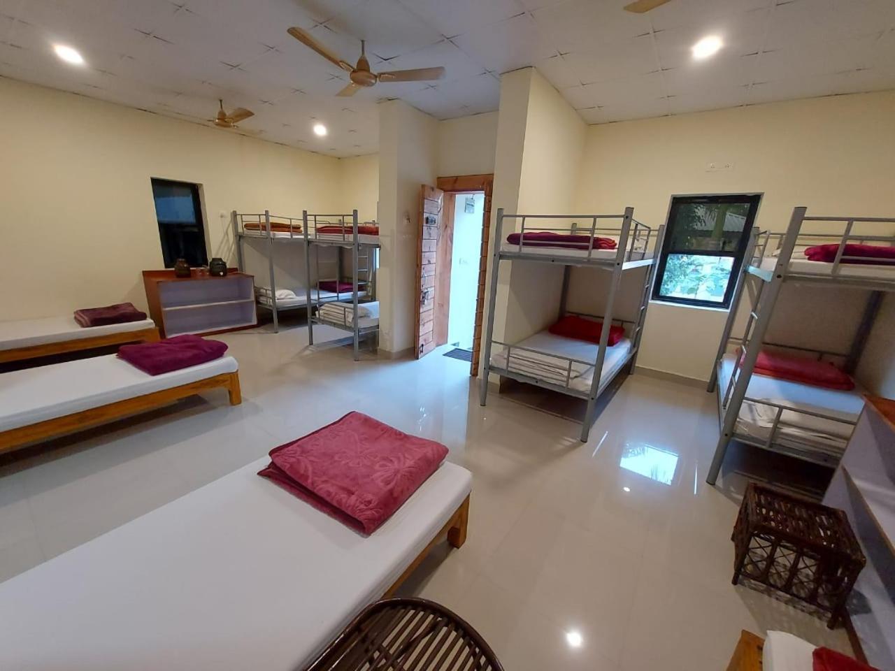 Tadoba Tiger Valley Resort Tadoba Mohurli Экстерьер фото