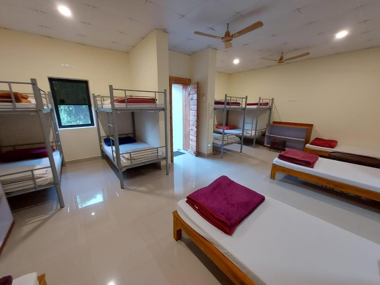 Tadoba Tiger Valley Resort Tadoba Mohurli Экстерьер фото